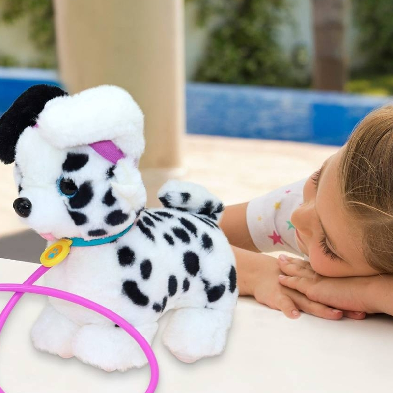 dalmata-passeio-com-som-3