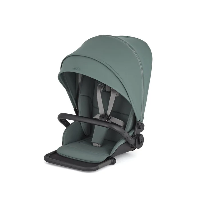 1anex-modu-assento-para-carrinho-de-passeio-greeny-1