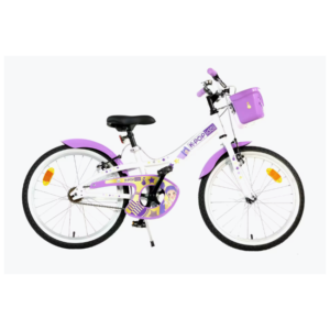 Bicicleta Guerreiras K-Pop R20