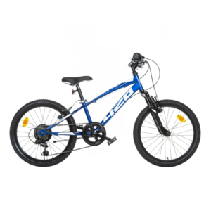 Bicicleta de Menino R20